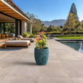 product_title - Planters - Shop_name