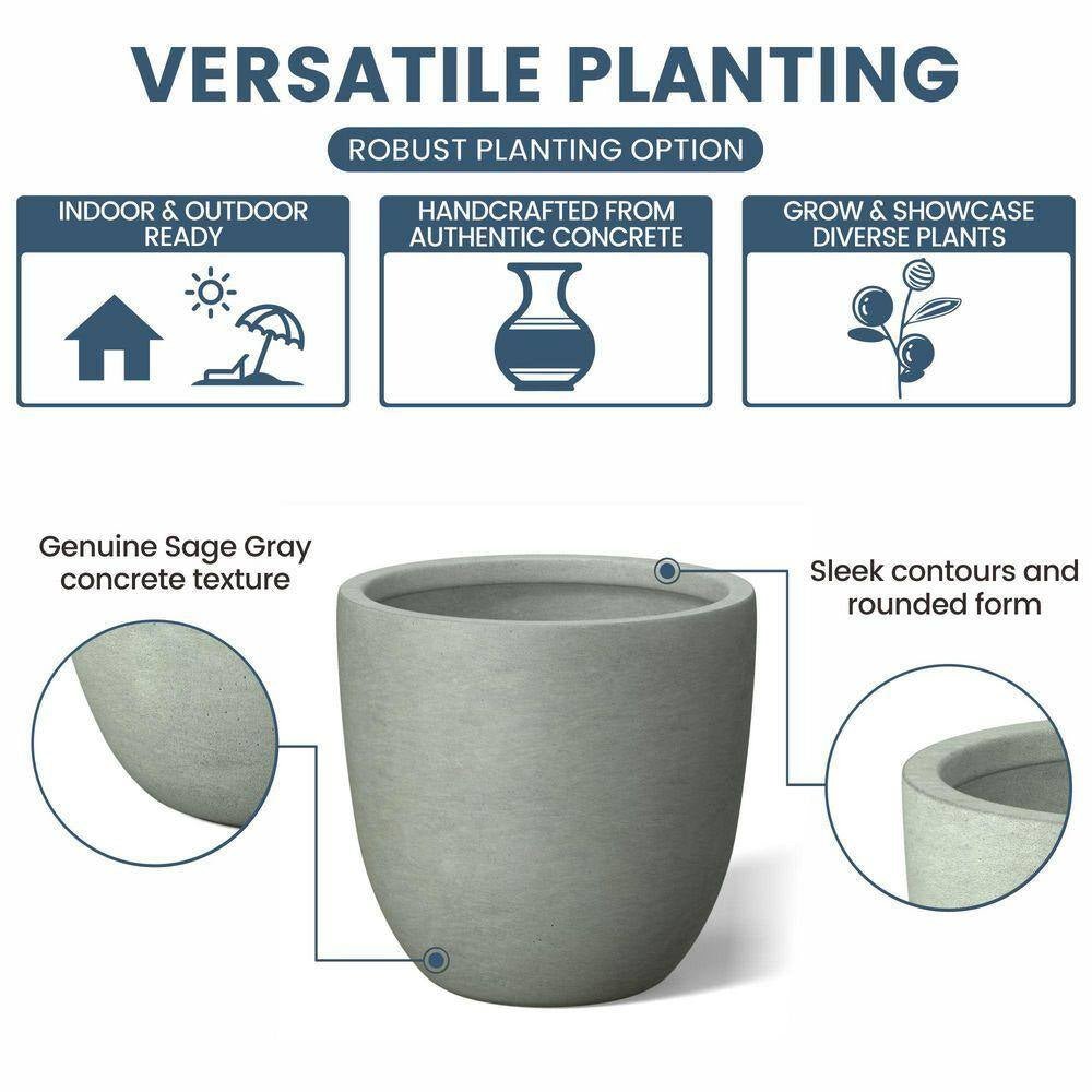 product_title - Planters - Shop_name