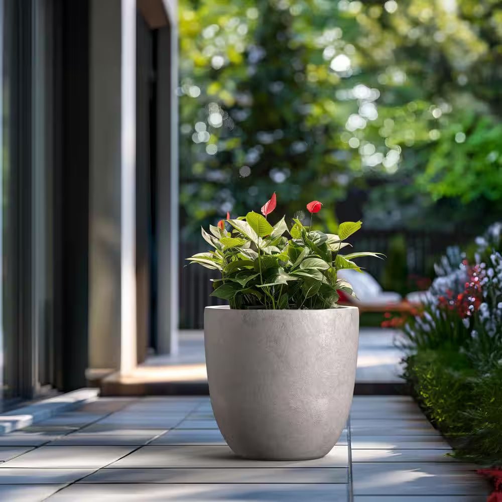 product_title - Planters - Shop_name