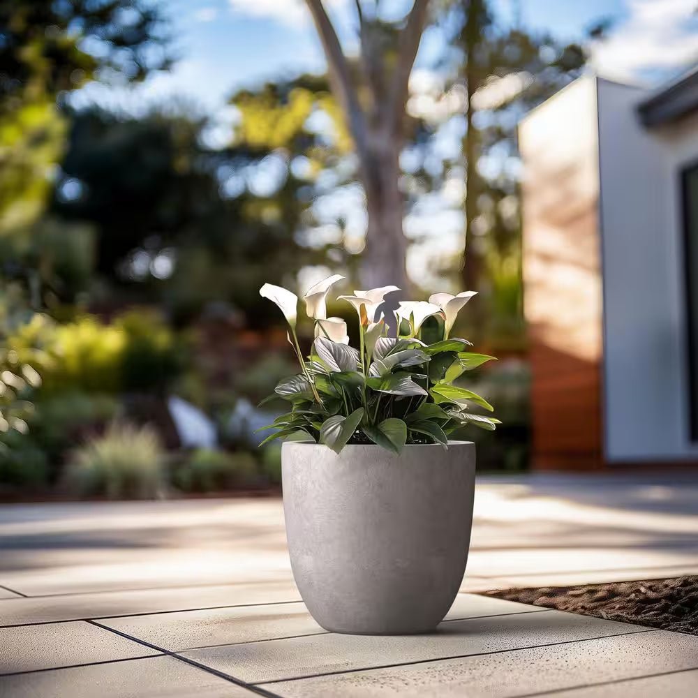 product_title - Planters - Shop_name