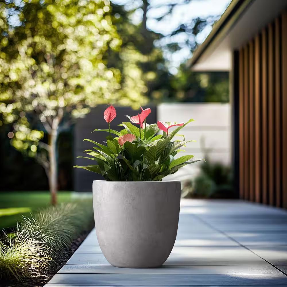 product_title - Planters - Shop_name
