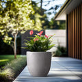 product_title - Planters - Shop_name