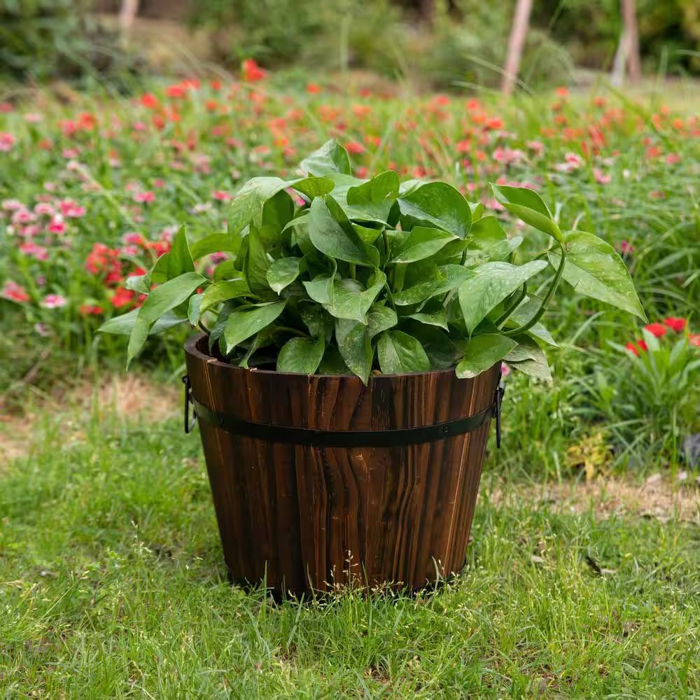 product_title - Planters & Pots - Shop_name