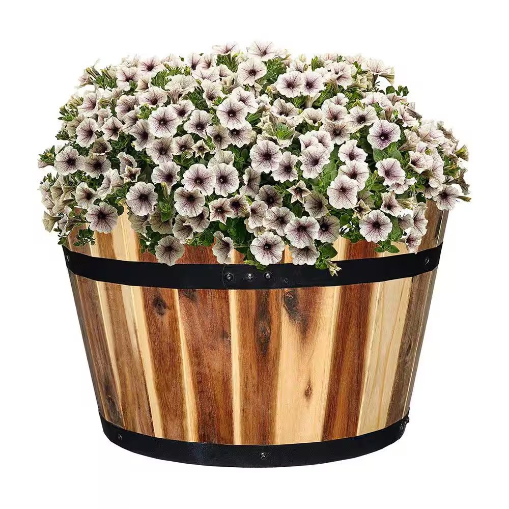 product_title - Planters - Shop_name
