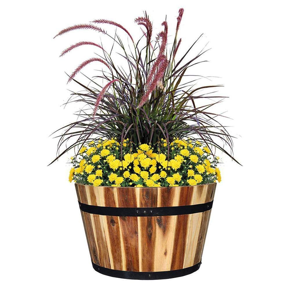 product_title - Planters - Shop_name