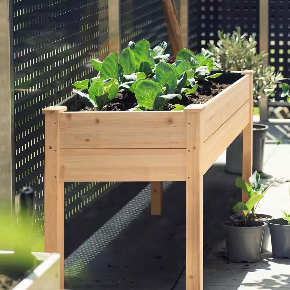 product_title - Raised Garden Beds - Shop_name