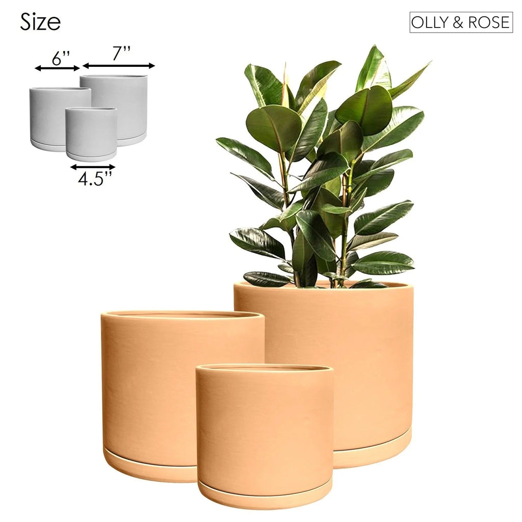 product_title - Shop_name