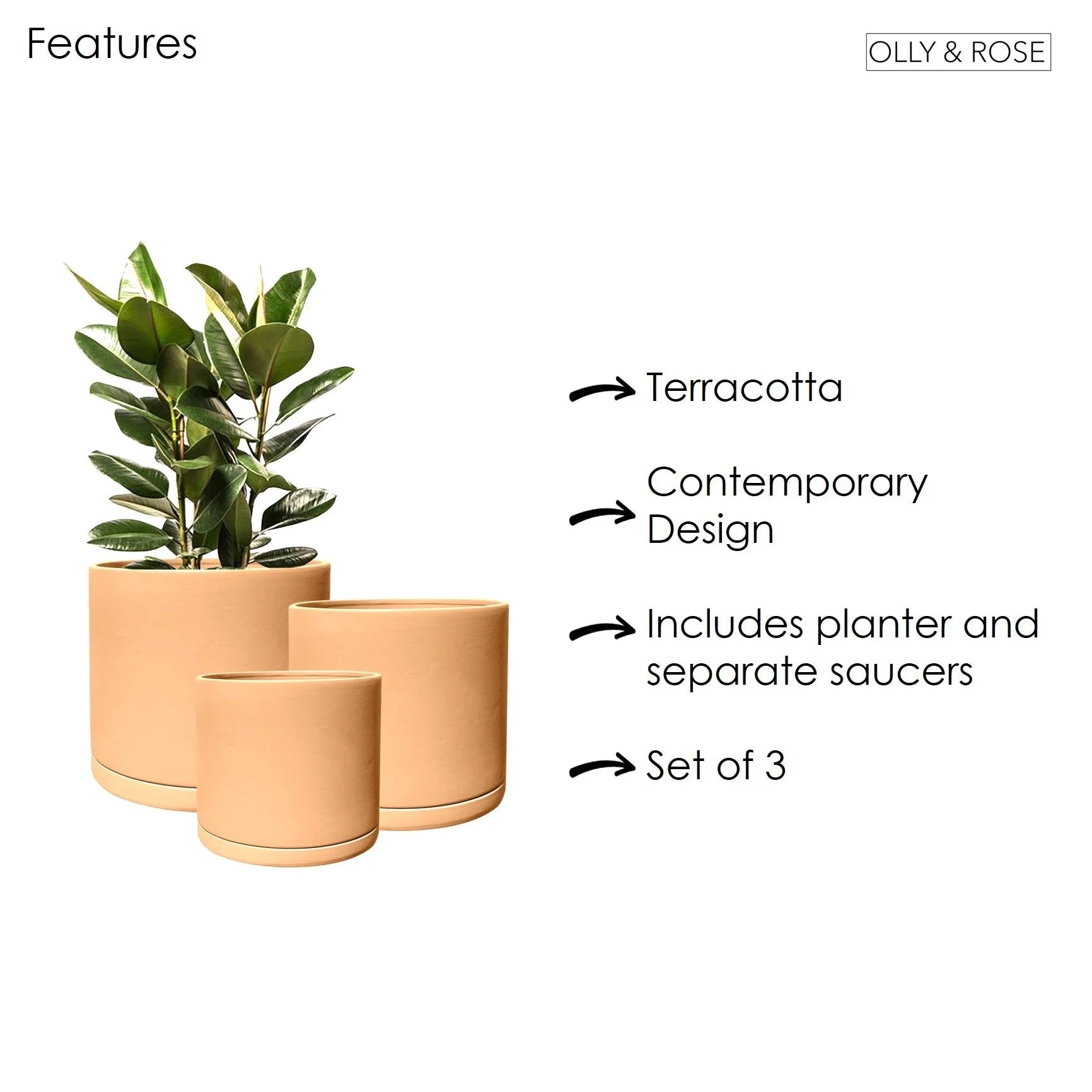 product_title - Shop_name