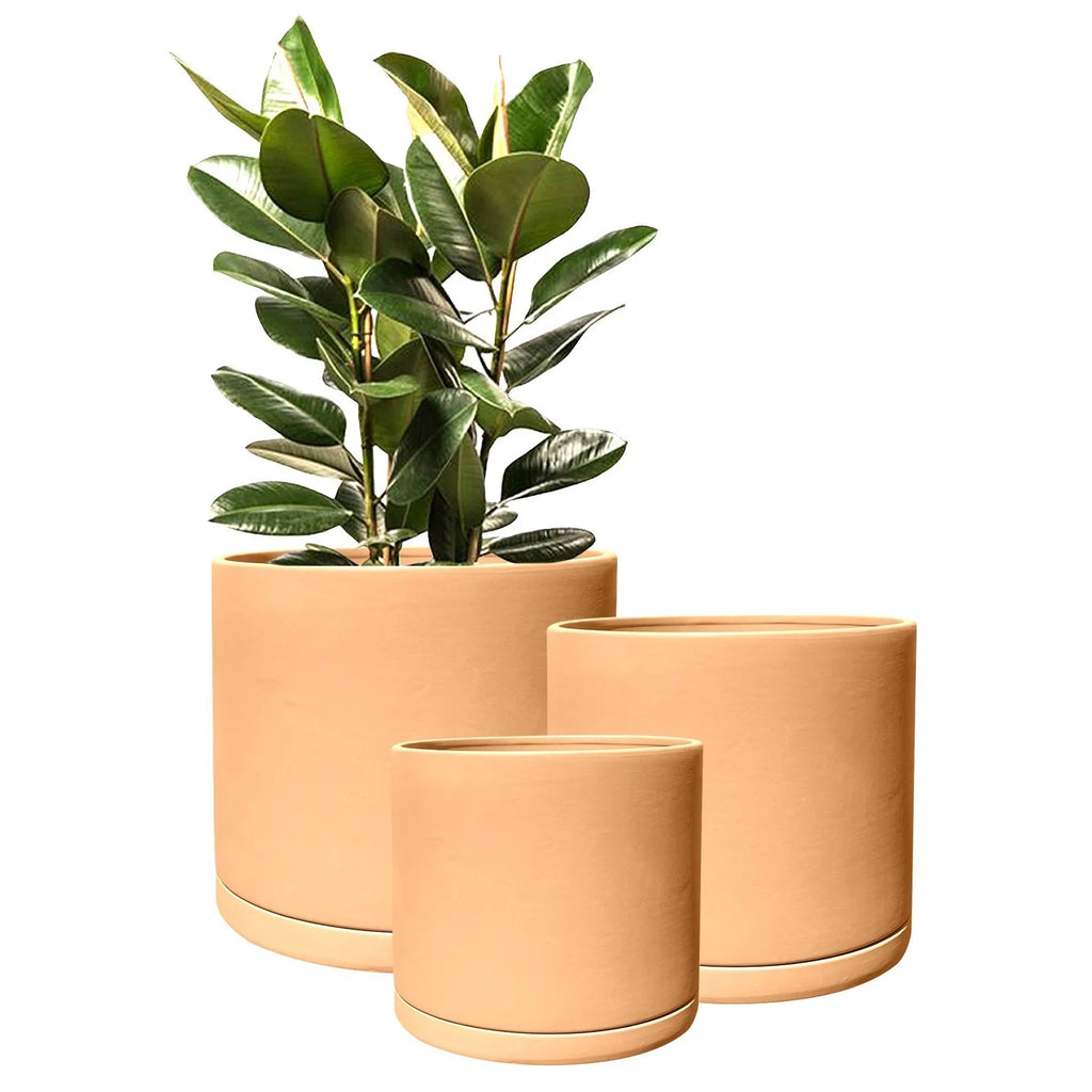 product_title - Shop_name